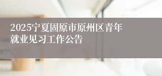 2025宁夏固原市原州区青年就业见习工作公告