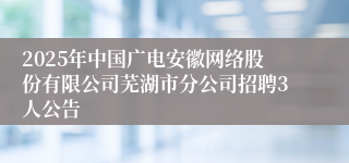 2025年中国广电安徽网络股份有限公司芜湖市分公司招聘3人公告