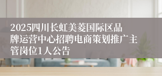 2025四川长虹美菱国际区品牌运营中心招聘电商策划推广主管岗位1人公告