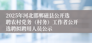 2025年河北邯郸磁县公开选聘农村党务（村务）工作者公开选聘拟聘用人员公示