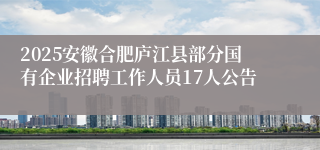 2025安徽合肥庐江县部分国有企业招聘工作人员17人公告