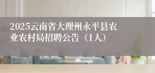 2025云南省大理州永平县农业农村局招聘公告（1人）