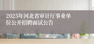 2025年河北省审计厅事业单位公开招聘面试公告