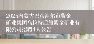 2025内蒙古巴彦淖尔市紫金矿业集团乌拉特后旗紫金矿业有限公司招聘4人公告