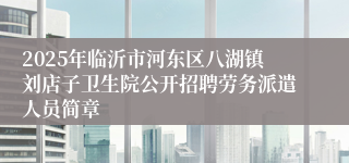 2025年临沂市河东区八湖镇刘店子卫生院公开招聘劳务派遣人员简章
