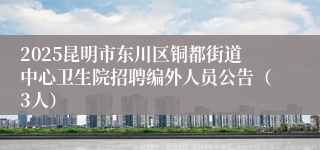 2025昆明市东川区铜都街道中心卫生院招聘编外人员公告（3人）