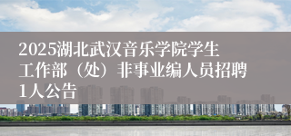 2025湖北武汉音乐学院学生工作部（处）非事业编人员招聘1人公告