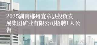 2025湖南郴州宜章县投资发展集团矿业有限公司招聘1人公告