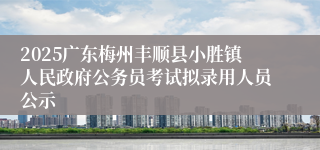 2025广东梅州丰顺县小胜镇人民政府公务员考试拟录用人员公示