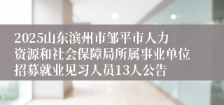 2025山东滨州市邹平市人力资源和社会保障局所属事业单位招募就业见习人员13人公告