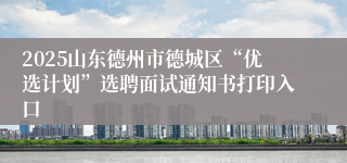 2025山东德州市德城区“优选计划”选聘面试通知书打印入口