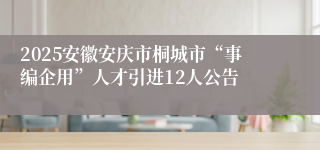 2025安徽安庆市桐城市“事编企用”人才引进12人公告