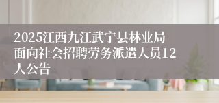 2025江西九江武宁县林业局面向社会招聘劳务派遣人员12人公告