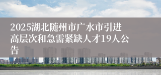 2025湖北随州市广水市引进高层次和急需紧缺人才19人公告