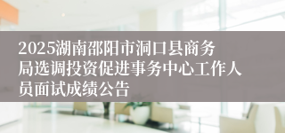 2025湖南邵阳市洞口县商务局选调投资促进事务中心工作人员面试成绩公告