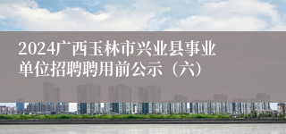 2024广西玉林市兴业县事业单位招聘聘用前公示（六）