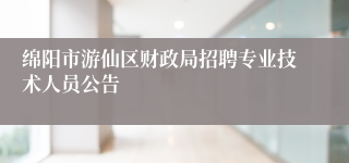 绵阳市游仙区财政局招聘专业技术人员公告
