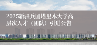 2025新疆兵团塔里木大学高层次人才（团队）引进公告