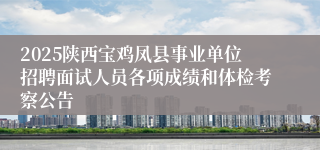 2025陕西宝鸡凤县事业单位招聘面试人员各项成绩和体检考察公告