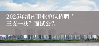 2025年渭南事业单位招聘“三支一扶”面试公告