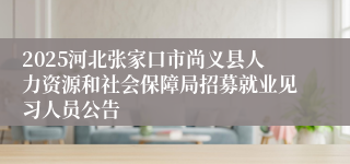 2025河北张家口市尚义县人力资源和社会保障局招募就业见习人员公告