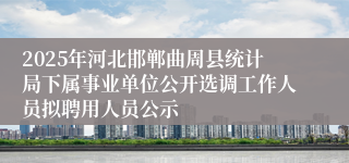 2025年河北邯郸曲周县统计局下属事业单位公开选调工作人员拟聘用人员公示