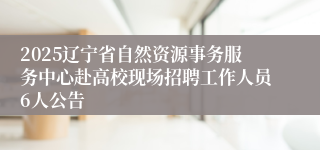 2025辽宁省自然资源事务服务中心赴高校现场招聘工作人员6人公告