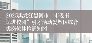 2025黑龙江黑河市“市委书记进校园”引才活动爱辉区综合类岗位体检通知	