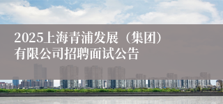 2025上海青浦发展（集团）有限公司招聘面试公告