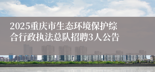 2025重庆市生态环境保护综合行政执法总队招聘3人公告