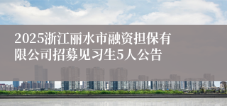 2025浙江丽水市融资担保有限公司招募见习生5人公告