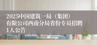 2025中国建筑一局（集团）有限公司西南分局省份专员招聘1人公告