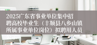 2025广东省事业单位集中招聘高校毕业生（丰顺县八乡山镇所属事业单位岗位）拟聘用人员公示