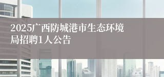 2025广西防城港市生态环境局招聘1人公告