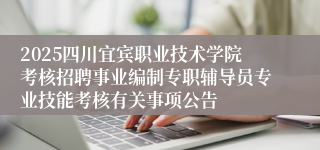 2025四川宜宾职业技术学院考核招聘事业编制专职辅导员专业技能考核有关事项公告