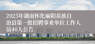 2025年湖南怀化麻阳苗族自治县第一批招聘事业单位工作人员40人公告 