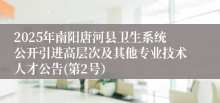 2025年南阳唐河县卫生系统公开引进高层次及其他专业技术人才公告(第2号）