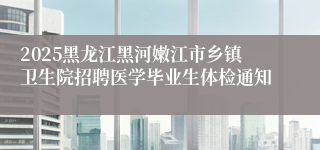 2025黑龙江黑河嫩江市乡镇卫生院招聘医学毕业生体检通知  