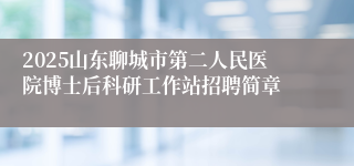 2025山东聊城市第二人民医院博士后科研工作站招聘简章