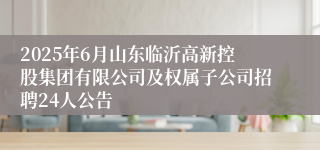 2025年6月山东临沂高新控股集团有限公司及权属子公司招聘24人公告