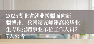 2025湖北省就业援疆面向新疆博州、兵团第五师籍高校毕业生专项招聘事业单位工作人员27人公告