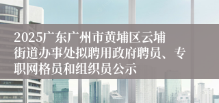 2025广东广州市黄埔区云埔街道办事处拟聘用政府聘员、专职网格员和组织员公示