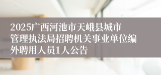 2025广西河池市天峨县城市管理执法局招聘机关事业单位编外聘用人员1人公告