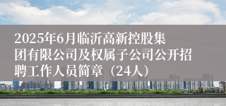 2025年6月临沂高新控股集团有限公司及权属子公司公开招聘工作人员简章（24人）