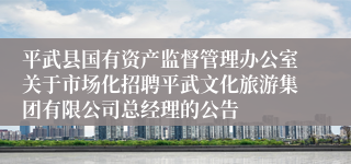 平武县国有资产监督管理办公室关于市场化招聘平武文化旅游集团有限公司总经理的公告