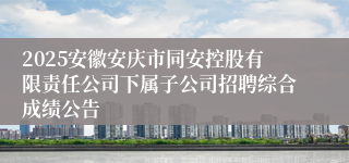 2025安徽安庆市同安控股有限责任公司下属子公司招聘综合成绩公告