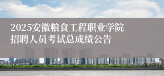 2025安徽粮食工程职业学院招聘人员考试总成绩公告