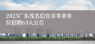 2025广东茂名信宜市事业单位招聘63人公告
