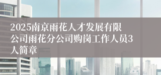 2025南京雨花人才发展有限公司雨花分公司购岗工作人员3人简章