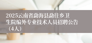 2025云南省勐海县勐往乡卫生院编外专业技术人员招聘公告（4人）